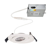 A white downlight accompanied by a remote control for easy operation and adjustment of lighting settings.
